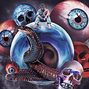 Meet your Posher, Donald